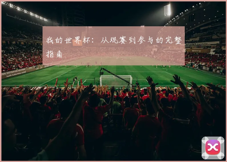 我的世界杯:从观赛到参与的完整指南