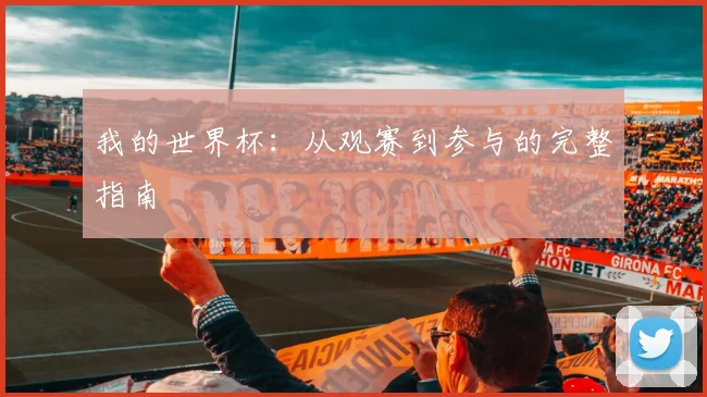 我的世界杯:从观赛到参与的完整指南
