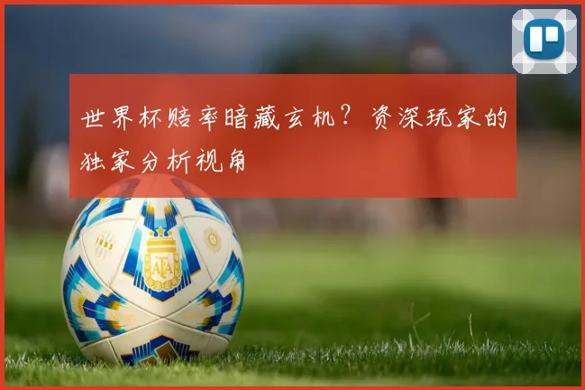 世界杯赔率暗藏玄机?资深玩家的独家分析视角